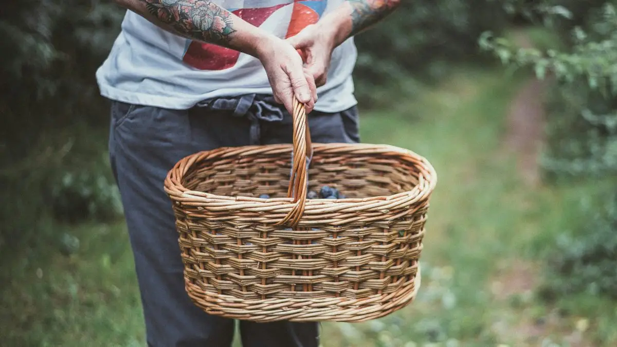 man with a cart I mean basket